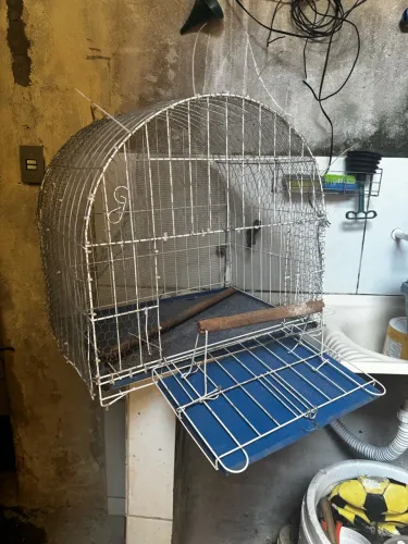 Gaiola de ferro