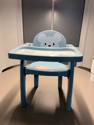 Cadeirinha de bebê
