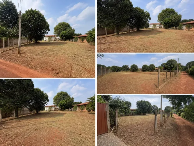 Lote imperdível estiva 