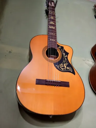 Violao Takamine Nylon