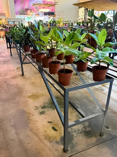 Expositor simples para plantas, flores e produtos.