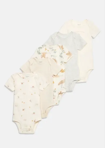 Kit body carters