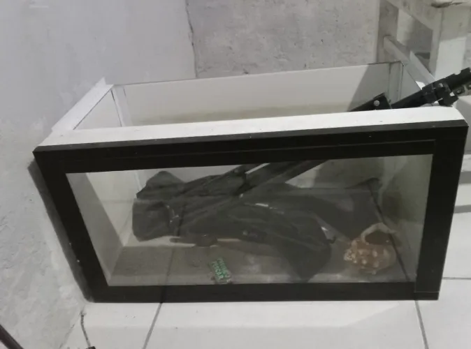 Aquário 35 l