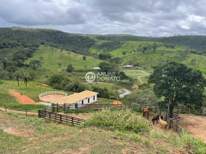 Santo Antônio do Leite - Fazendas / Sítios 1 quarto à venda na Anuar Donato