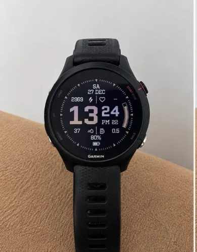Garmin 255smusic
