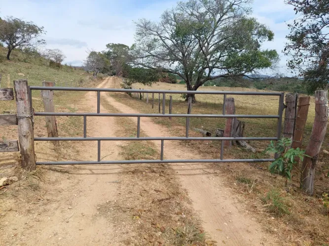 Fazenda com 383 hectares! 