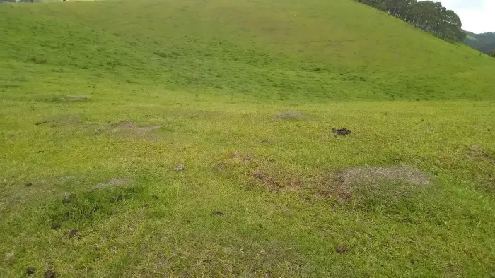 terreno 20 mil m2 . com vista em Piracaia SP