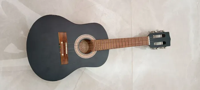 Cavaquinho iniciante com capa protetora