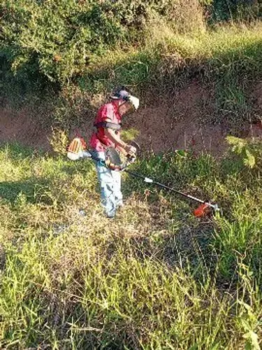 Roça lotes.