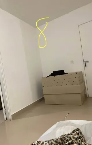 Caixa de transporte Pet Grande Porte tamanho 8