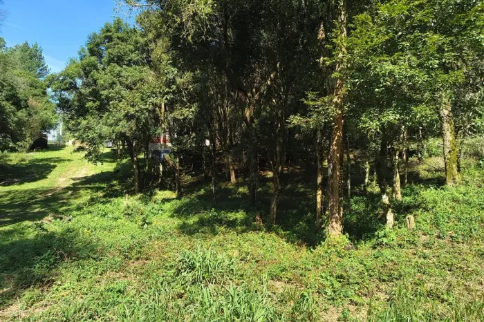 Chacara em Mandirituba