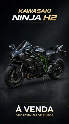 Kawasaki Ninja 1000 2015