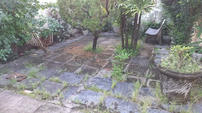 Serviço de jardinagem em geral limpeza de Jardim quintal calçadas lava o quintal