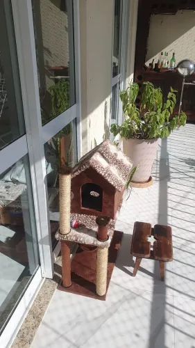 Vendo casinha para gato 