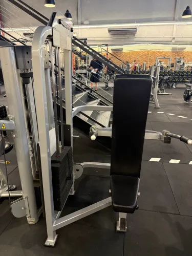 Tríceps Life fitness 