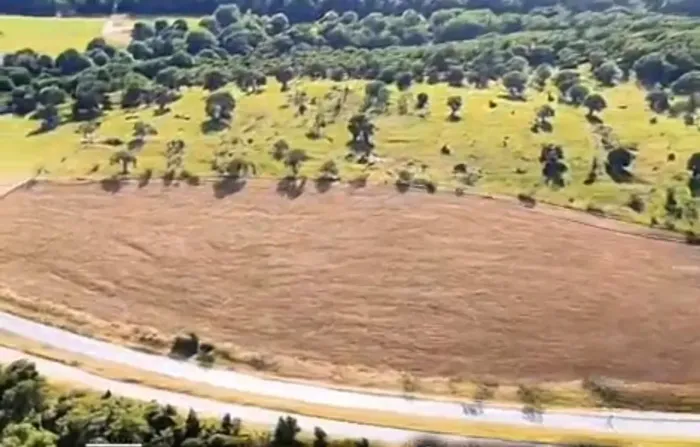 Lote/Terreno para venda possui 10000 metros quadrados