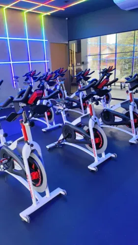 Bike Spinning Schwinn 