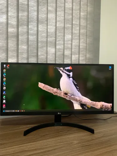 Monitor LG 29 polegadas