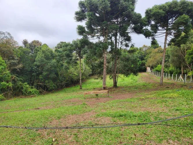 Terreno à venda, 2033 m² por R$ 600.000 - Borda Do Campo - São José dos Pinhais/PR