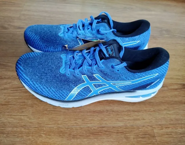 Tênis Asics GT-2000 10 Tamanho 44