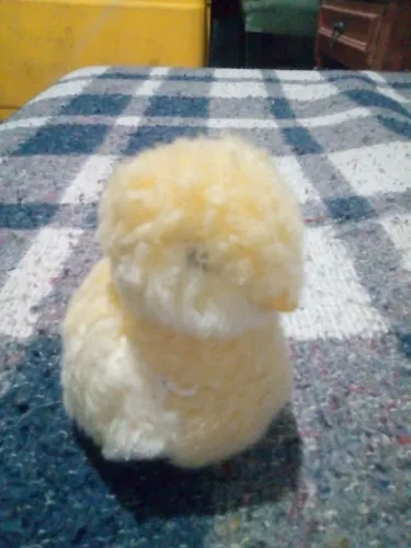 Pintinho da estrela 