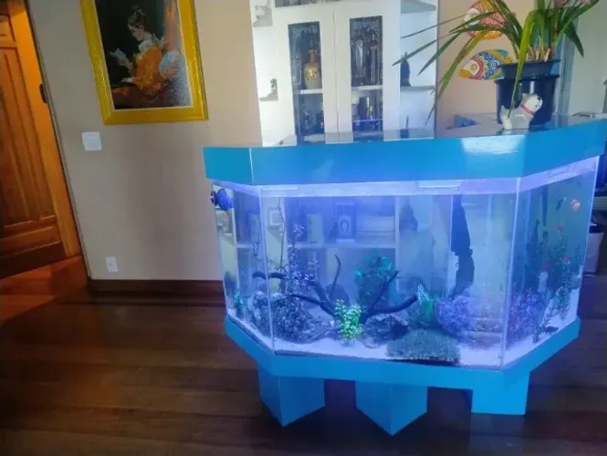 Aquário agua doce de 600 litros