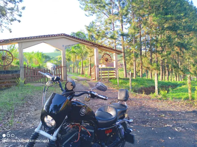 Harley Davidson 883R Carburada