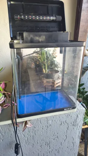 Aquário Boyu jade vidro curvo 33L