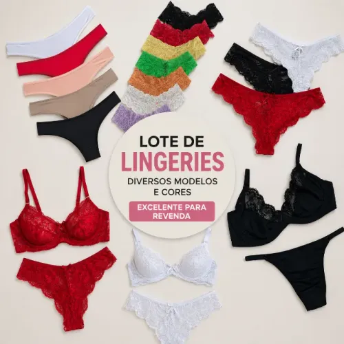 Lote 248 peças de Lingerie Feminina para Revenda Calcinhas e Conjuntos Diversos 