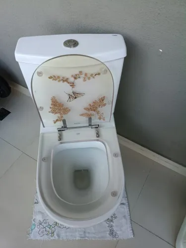 Vaso sanitário