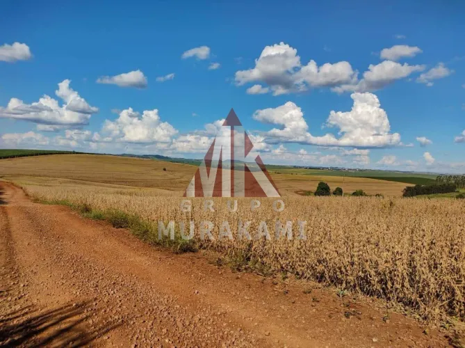 FAZENDA - BOM SUCESSO - PARANÁ