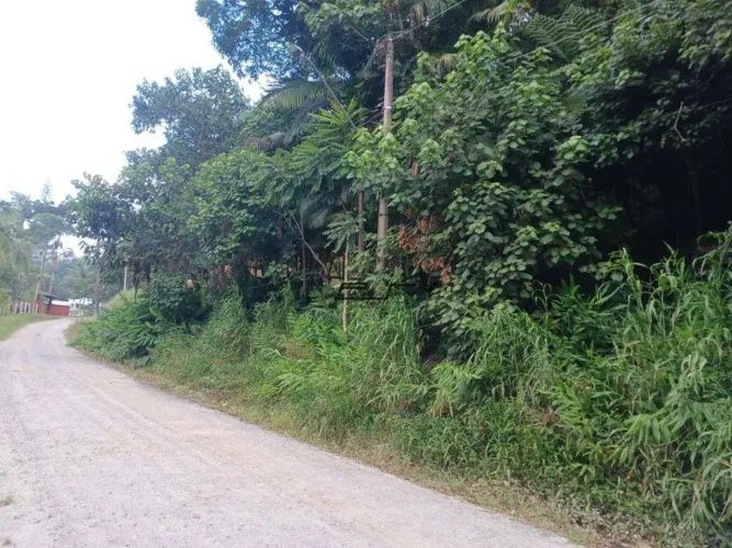 Terreno a venda no Sítio do Francês
