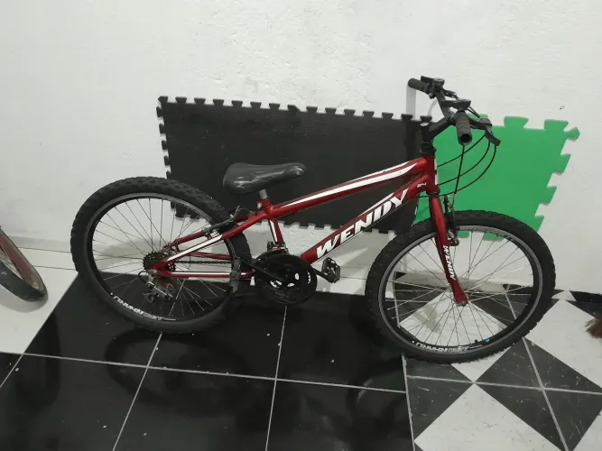 Bicicleta aro 24