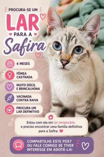 DOAÇÃO RESPONSÁVEL GATA EM VARGINHA