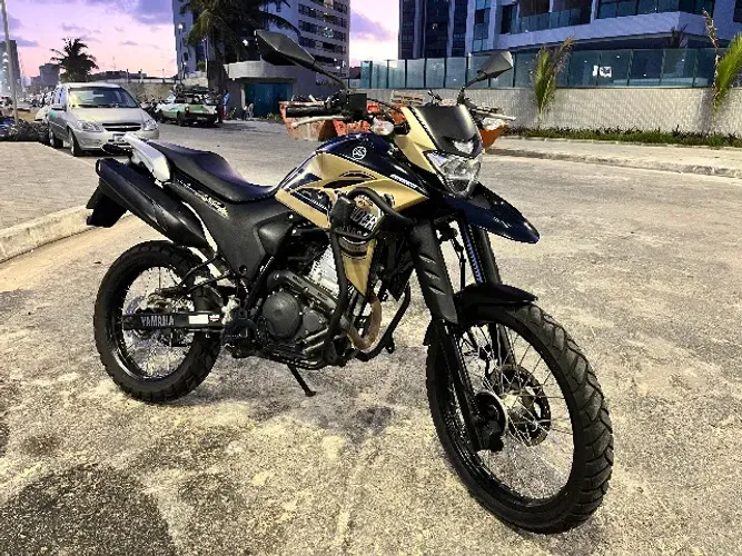 Yamaha XTZ 250 Lander 249cc/lander Blueflex 2021