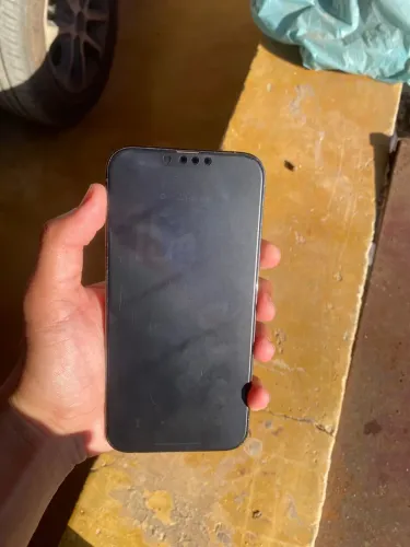 iPhone 13 Pro Max