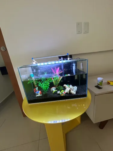 Aquário completo 45x22 com bomba