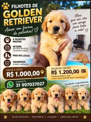 Goldens