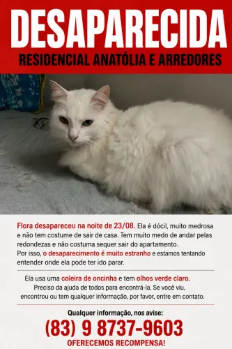 Pet perdido Anatólia Bancarios