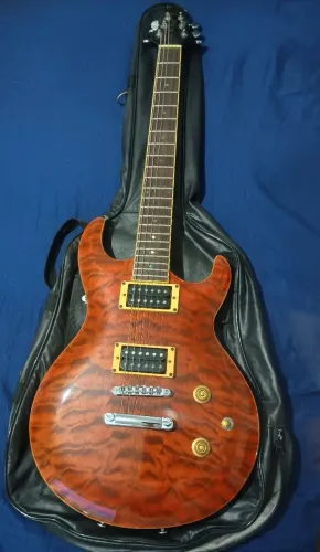 Guitarra Samick modelo Greg Bennett