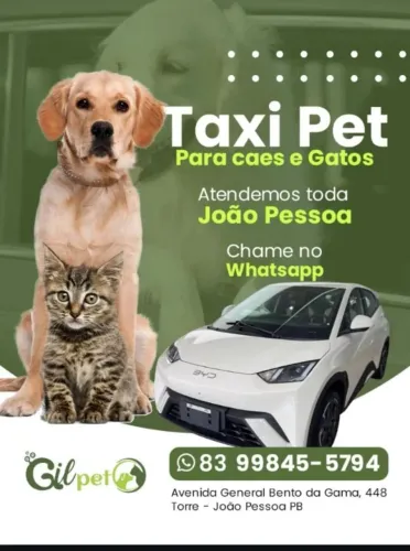 Taxi Pet  Cães e Gatos 