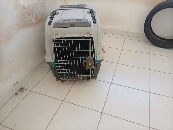 Caixa transporte de cachorro usada bom estado da andar em carro 