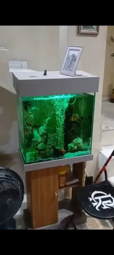 Aquário 120 litros completo 4 meses de uso