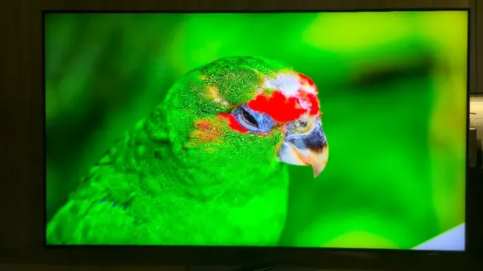 Smart TV Samsung Neo QLED 4K 55" (QN55QN90D) - Menos de 1 Ano de Uso!