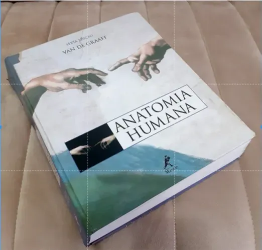 Livro - Anatomia Humana - Van de Graaff - Sexta Edição 6a-edição sem CD Editora: Manole