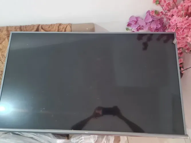 TV TCL 50 POLEGADAS DISPLAY QUEIMADO