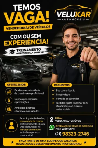 Vendedor de carro