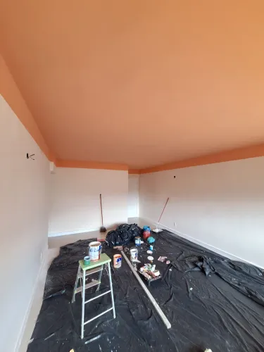 Pintor profissional, faço tudo textura, grafiato, faça ja seu orcamento grátis!