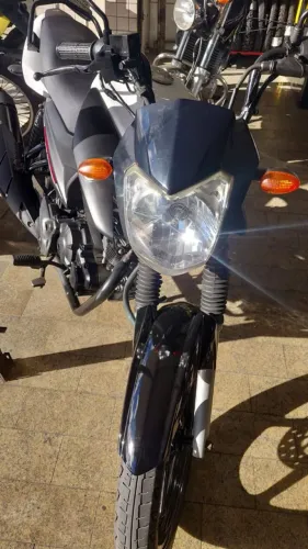 Factor 150 2019
