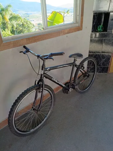 Bicicleta adulto